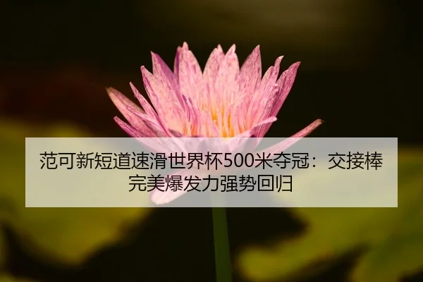 范可新短道速滑世界杯500米夺冠：交接棒完美爆发力强势回归